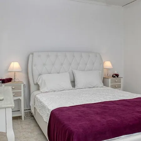 Lemonia グロッサ